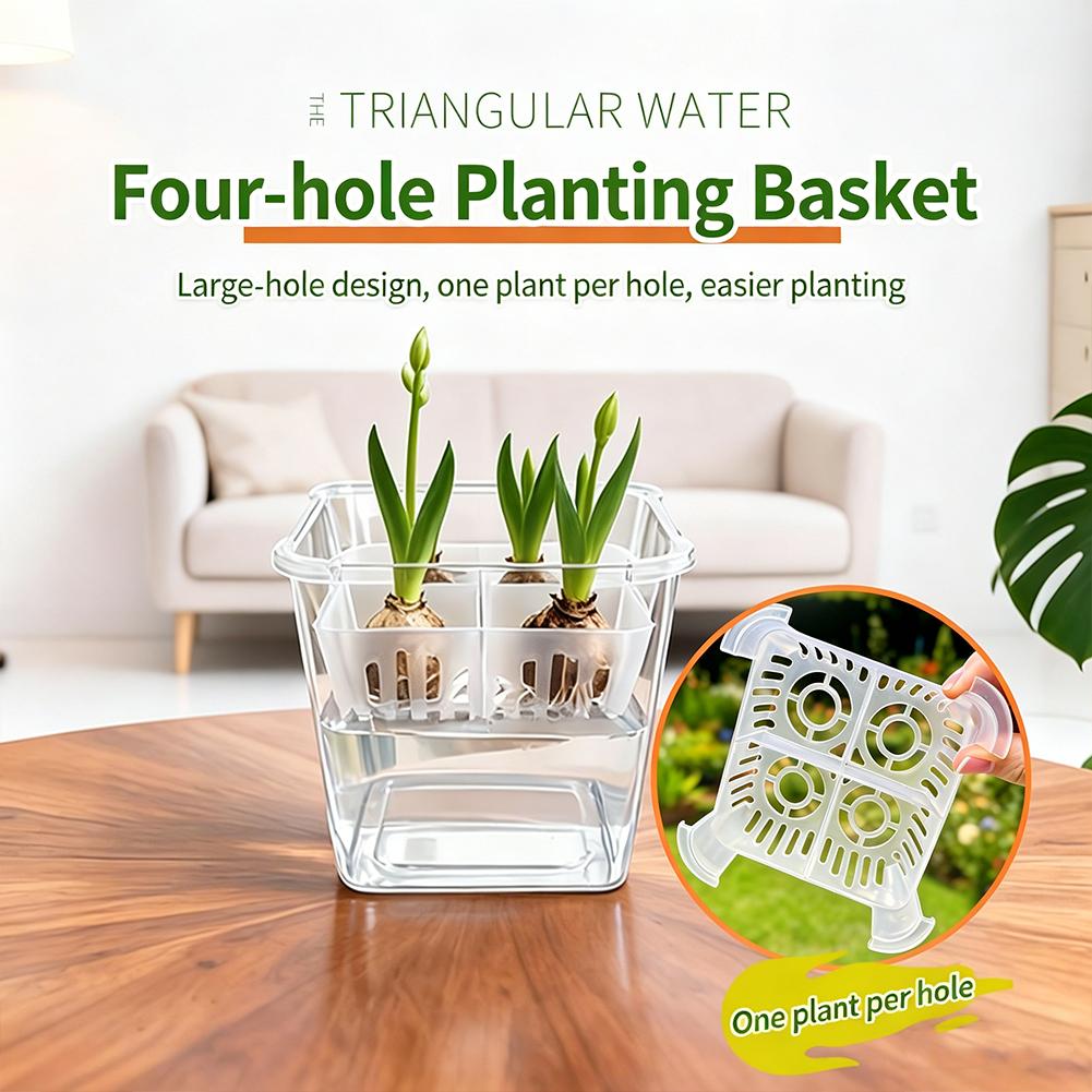 Hydroponic Grow Pod - 1 pièce Pot hydroponique pour bulbes