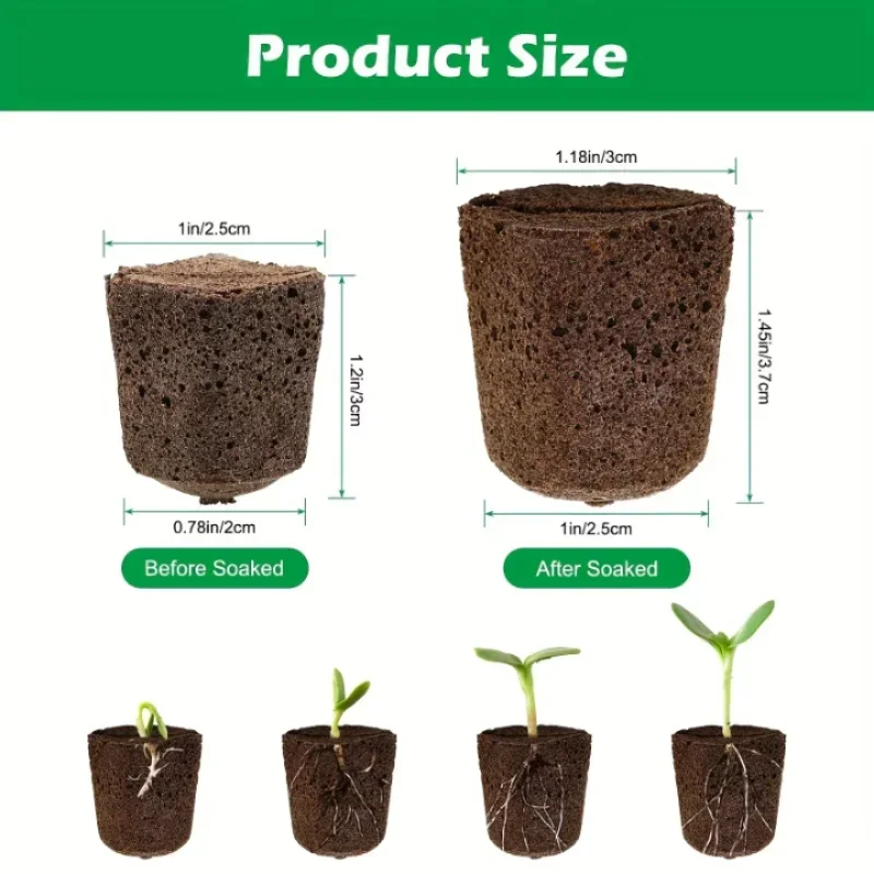 Indoor Garden Kit - Kit de démarrage de semis en