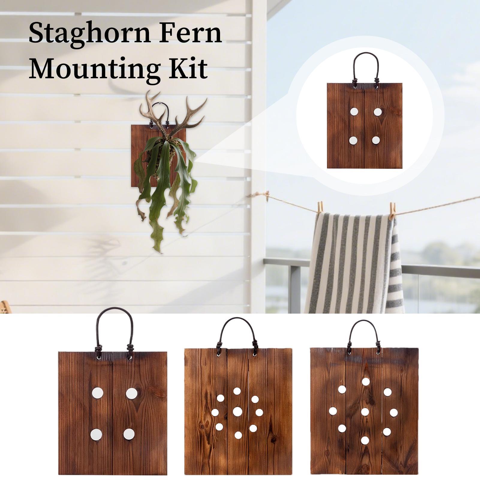 Indoor Garden Kit - Kit de jardinière murale en bois