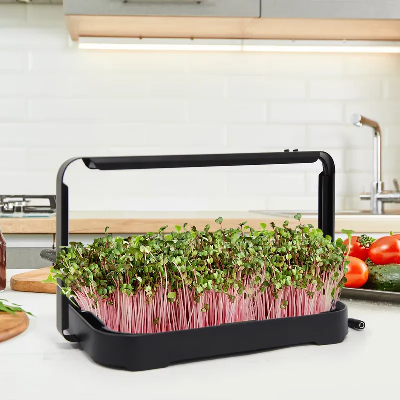 Indoor Garden Kit - Bac hydroponique pour micro-légumes d'intérieur, système