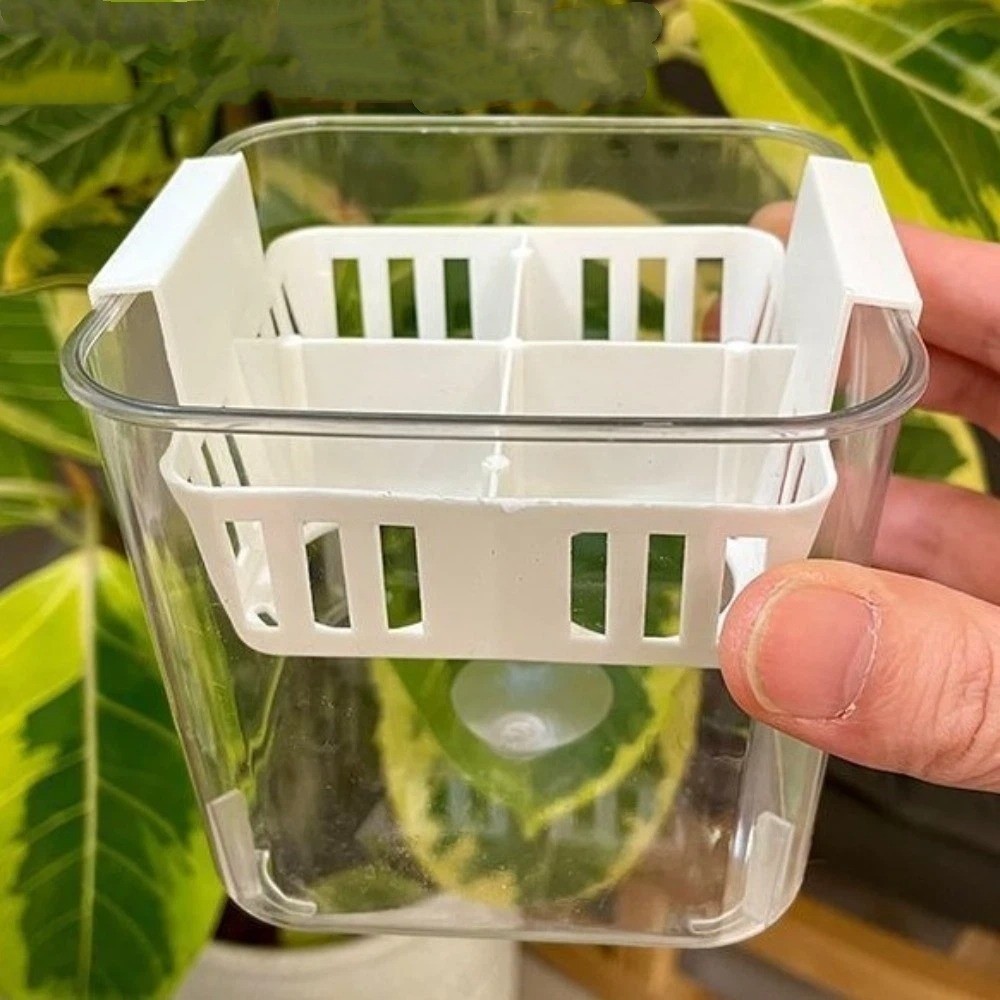 Pots de pépinière hydroponique - Hydroponic Grow Pod avis et prix