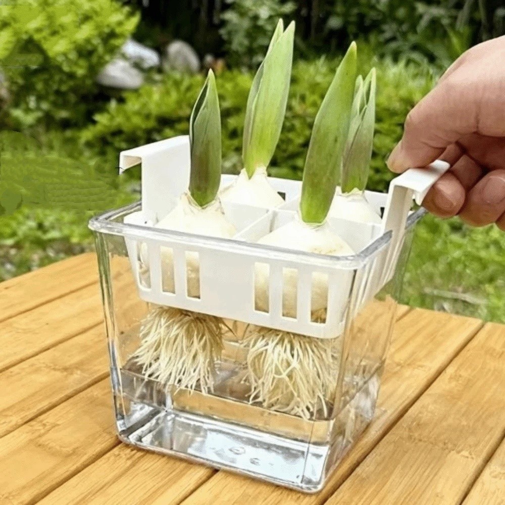 Pots de pépinière hydroponique - Hydroponic Grow Pod avis et prix