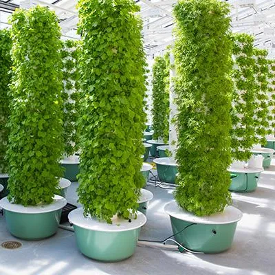 Systèmes de culture verticale  - Hydroponic Tower avis et prix