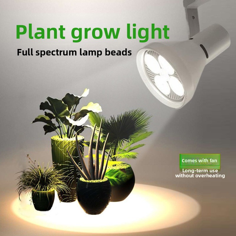 Lampe de culture LED à spectre - Plant Grow Light Full Spectrum avis et prix