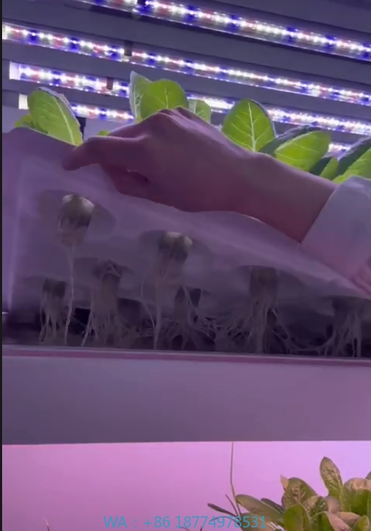F serre équipement agricole gr - Hydroponic Tower avis et prix