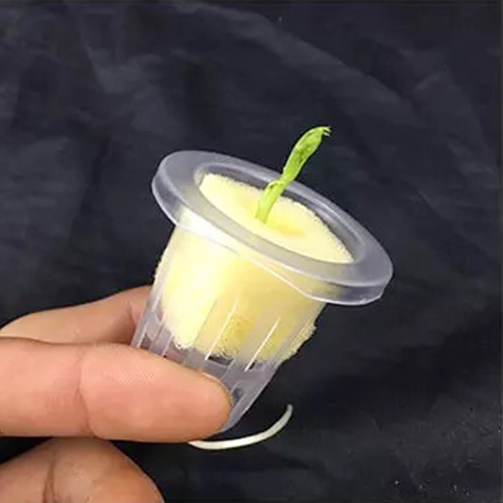 Gobelets en maille hydroponiqu - Hydroponic Grow Pod avis et prix