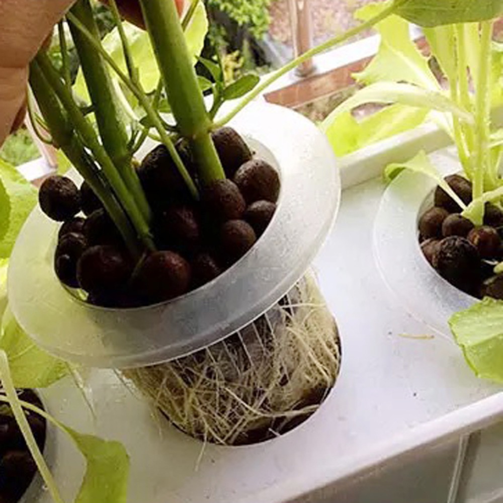 Gobelets en maille hydroponiqu - Hydroponic Grow Pod avis et prix
