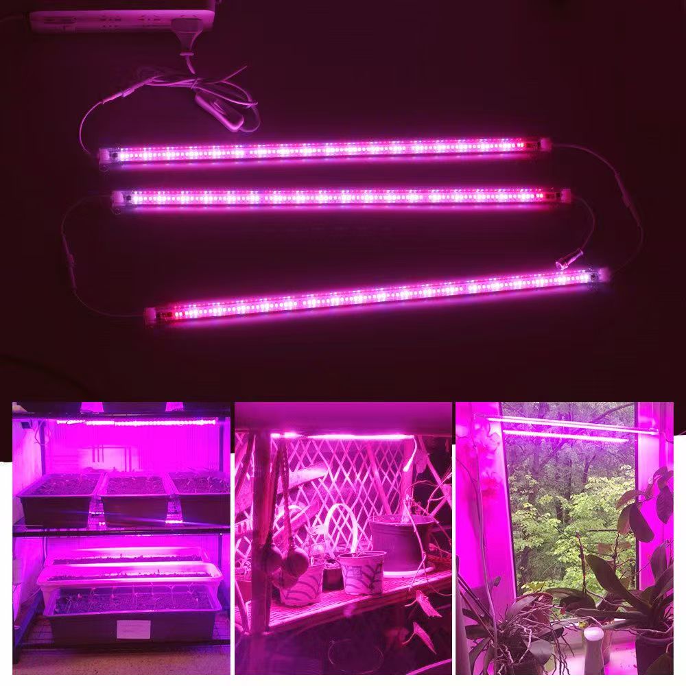 Bandes lumineuses LED pour pla - Plant Grow Light Full Spectrum avis et prix