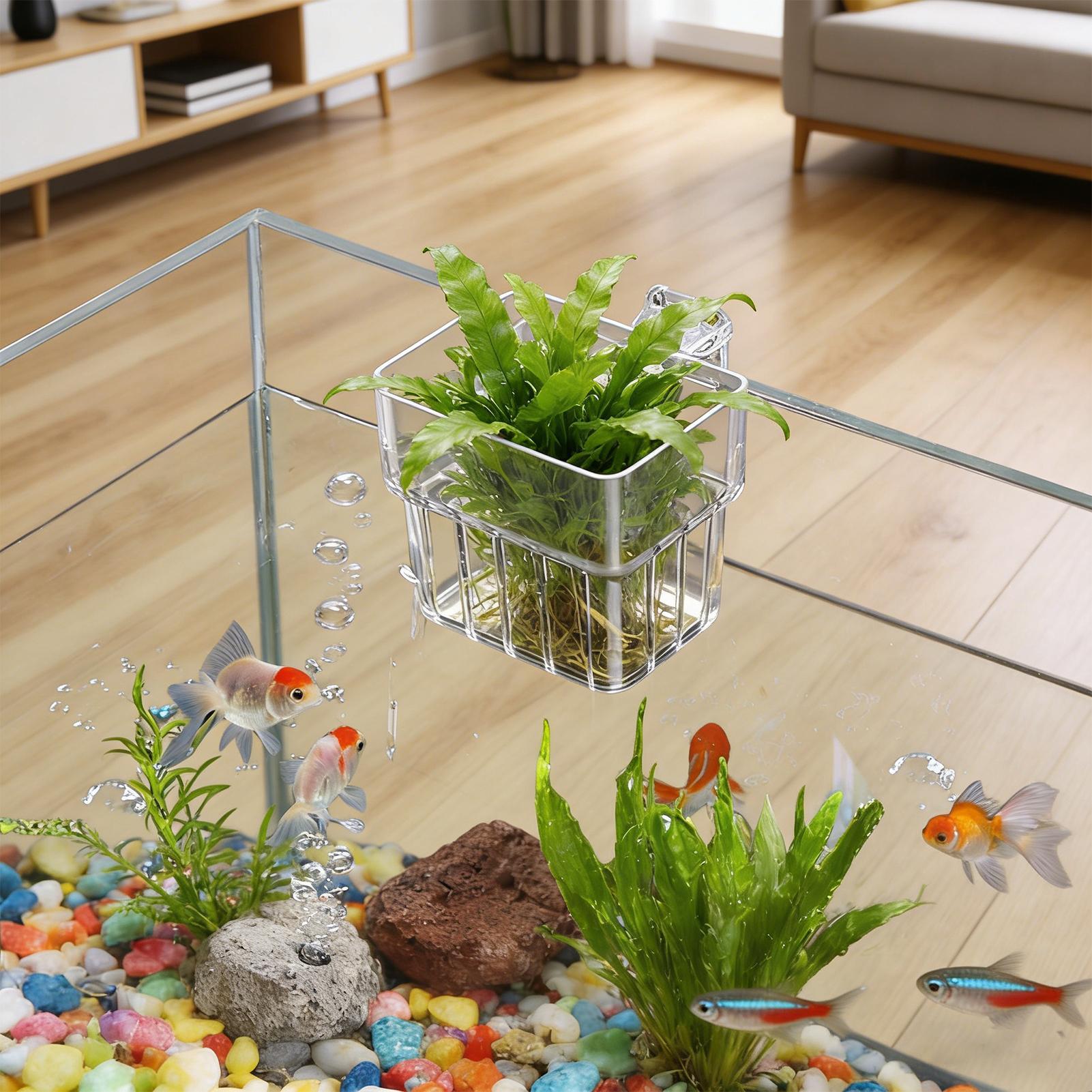 Support transparent suspendabl - Hydroponic Grow Pod avis et prix