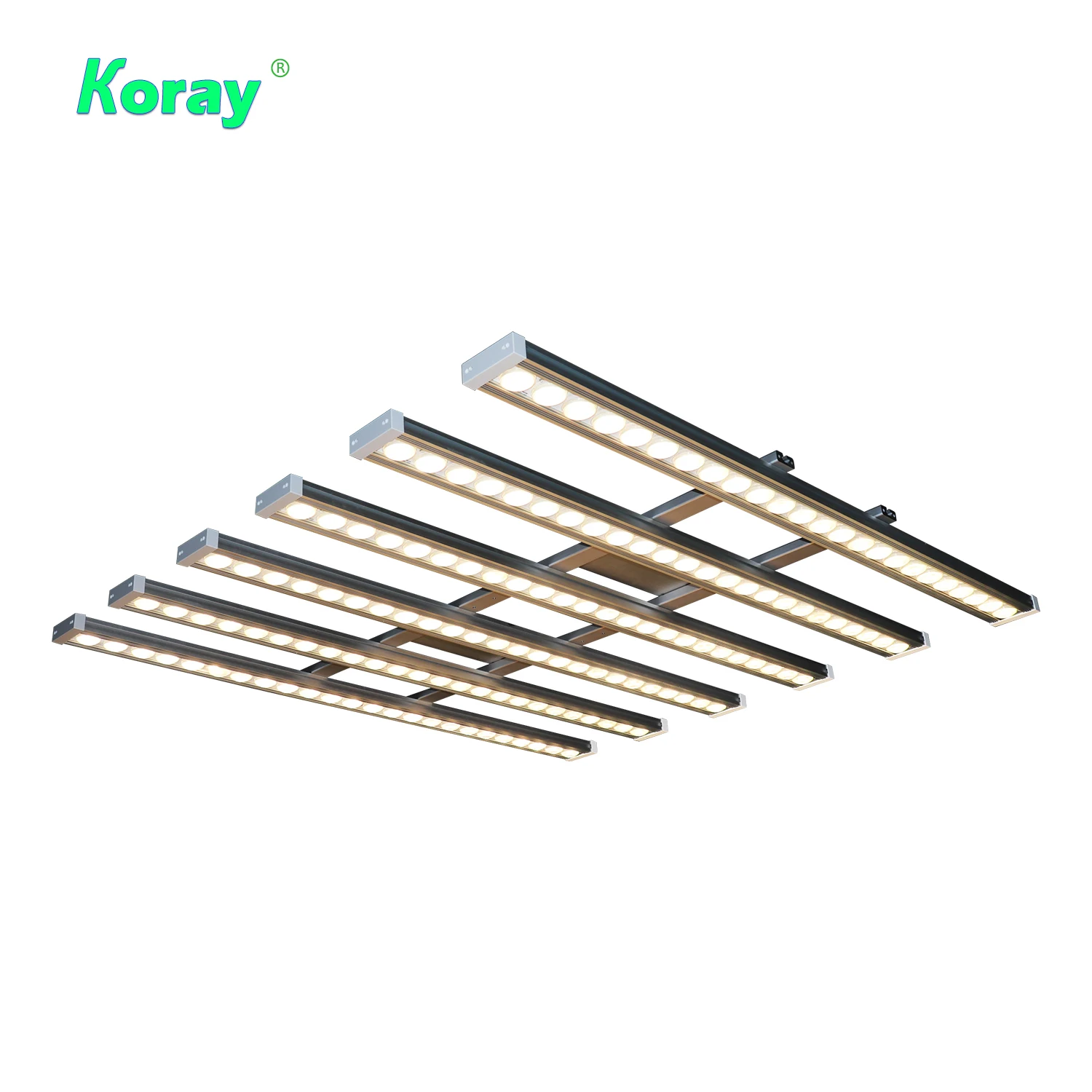 Koray 900W Lampe de culture in - Grow Light Led avis et prix